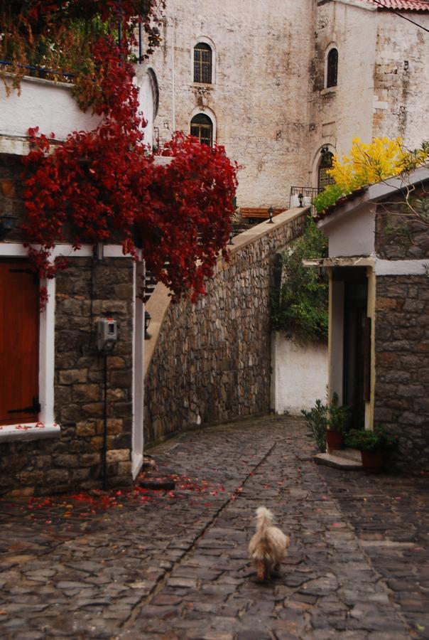 Villa Aleka Samothráki Exterior foto